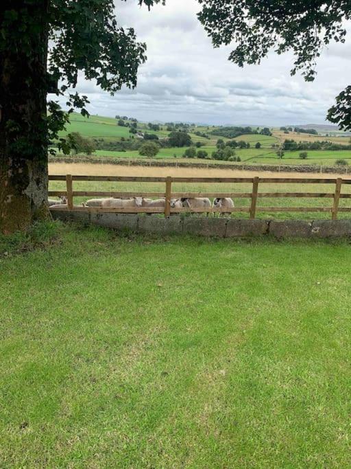 Vila Ivy House Farm, Near Longnor Longnor  Exteriér fotografie